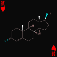 Sustanon 250mg/ml 10ml