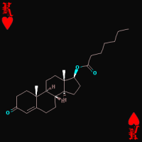 Testosterone Enanthate 250mg/ml 10ml Testosterone Enanthate 250mg/ml 10ml